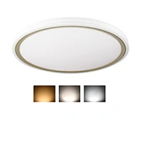 led flush mount ceiling light
